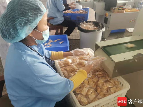 海南本土网红探访龙泉人食品工厂 为网友安全采购年货 保驾护航